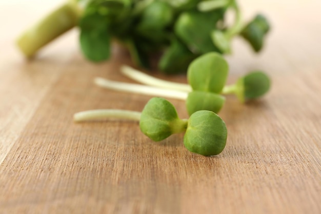 Is Sweetgreen Poised to Become the Next Chipotle?