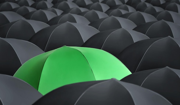 Weighing Your Options: Key Factors When Choosing Between a Limited Company and an Umbrella Company